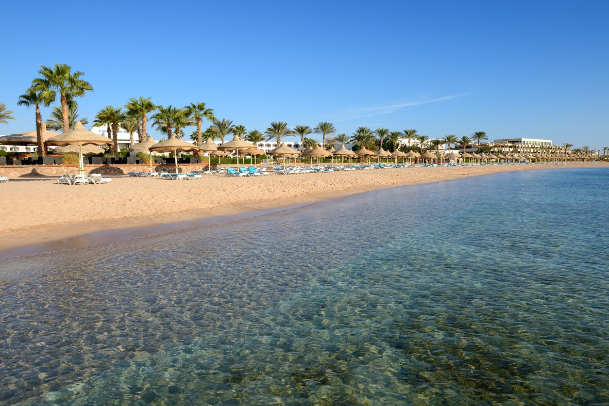 Sandy beach with palm trees, clear water, and sun loungers—perfect for your Egyptian trip.
