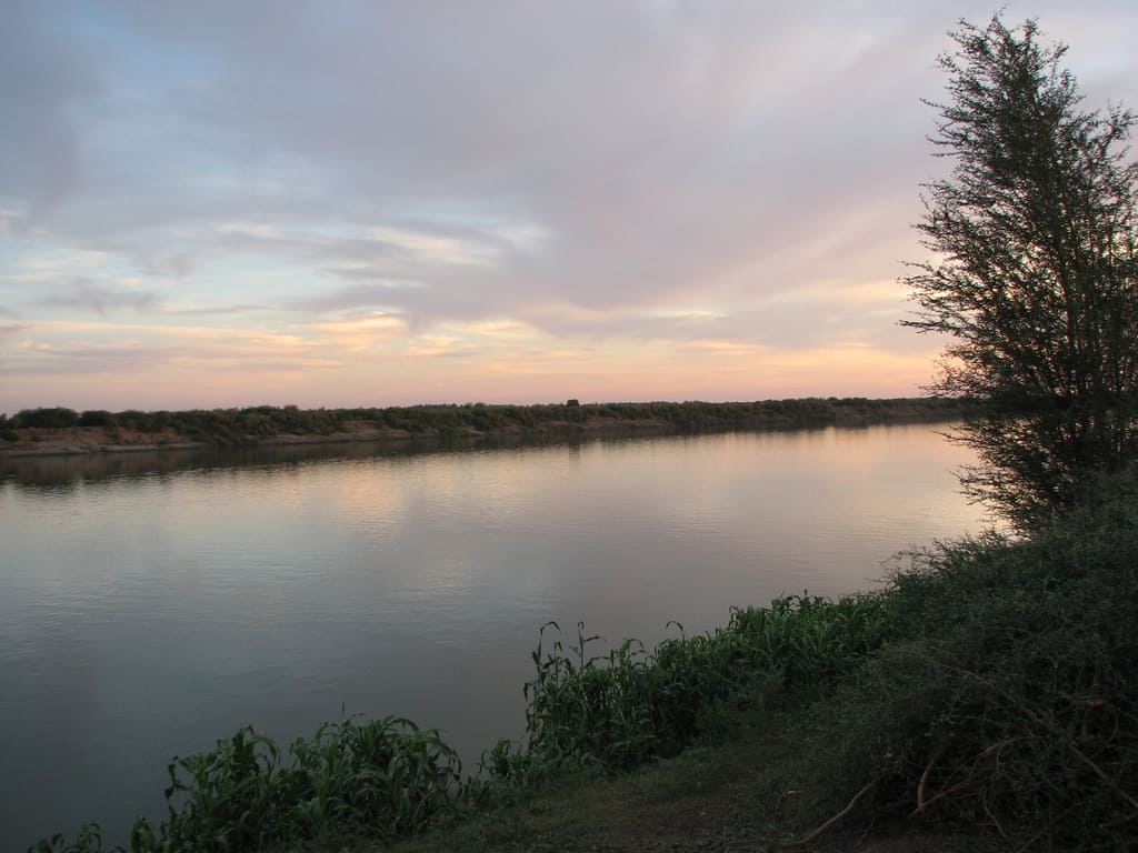 Calm River Nile with grassy banks and a tree, under a cloudy sky at dusk.