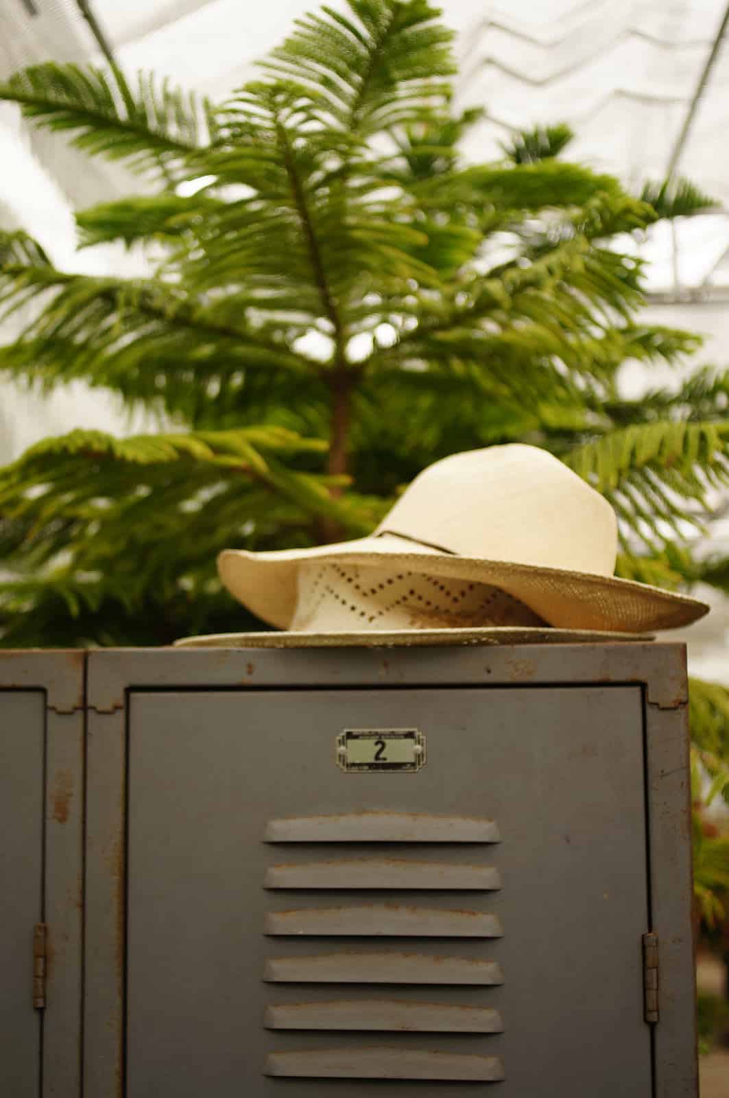 A beige hat on a gray locker with a small tree, evoking the calm of the Nile.
