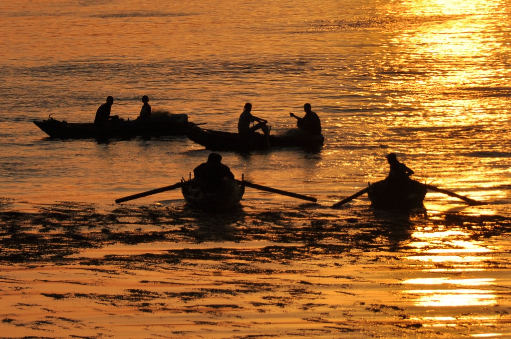 Take our 5-minute quiz while enjoying silhouetted rowboats on golden, calm waters at sunset.