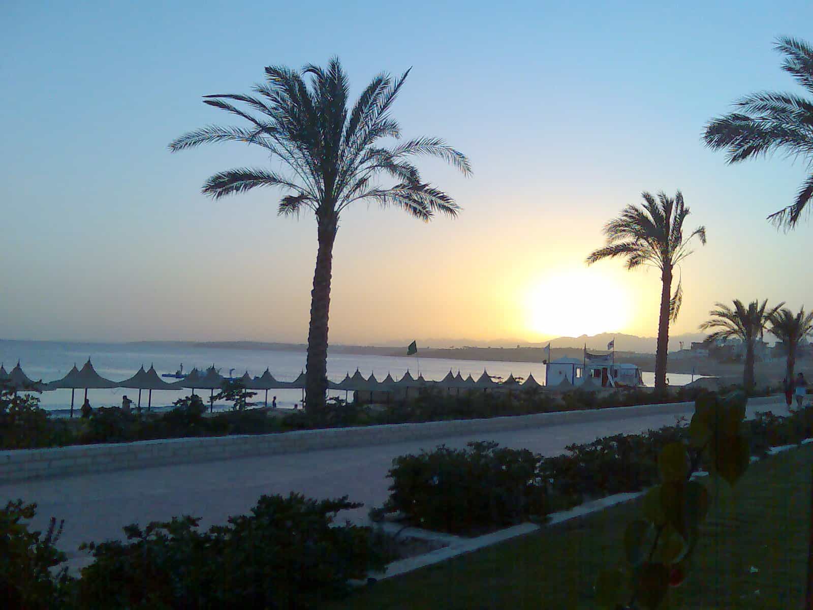 Sharm El Sheikh: sunset view with palm trees by a coastal road and distant beach umbrellas.