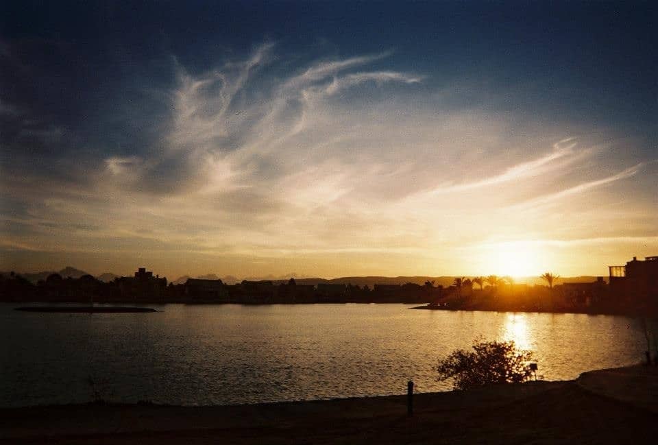 Sunset over a calm lake in El Gouna with silhouetted buildings and trees.
