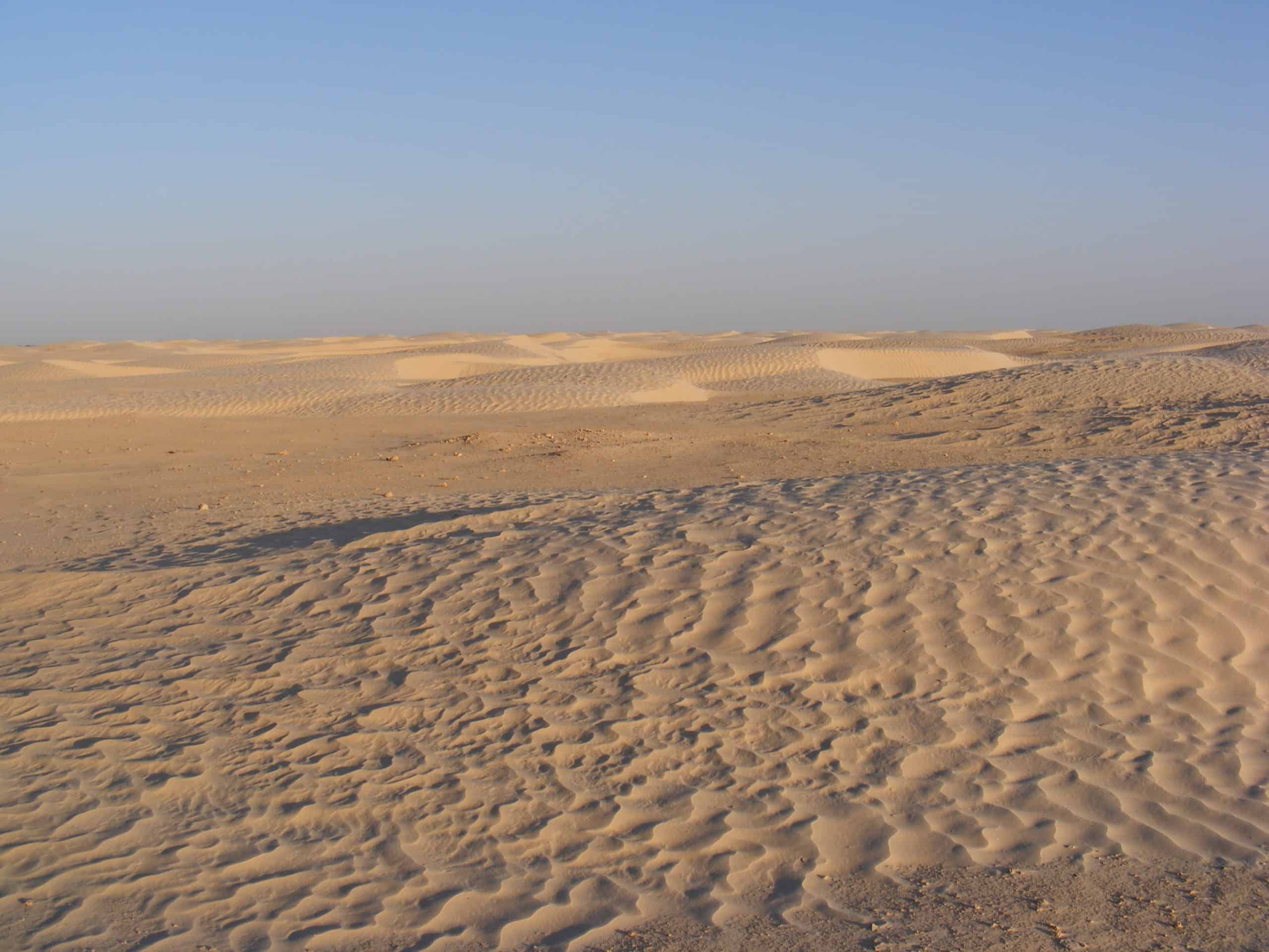A vast desert landscape with rippled sand dunes under Hurghadas clear blue sky.