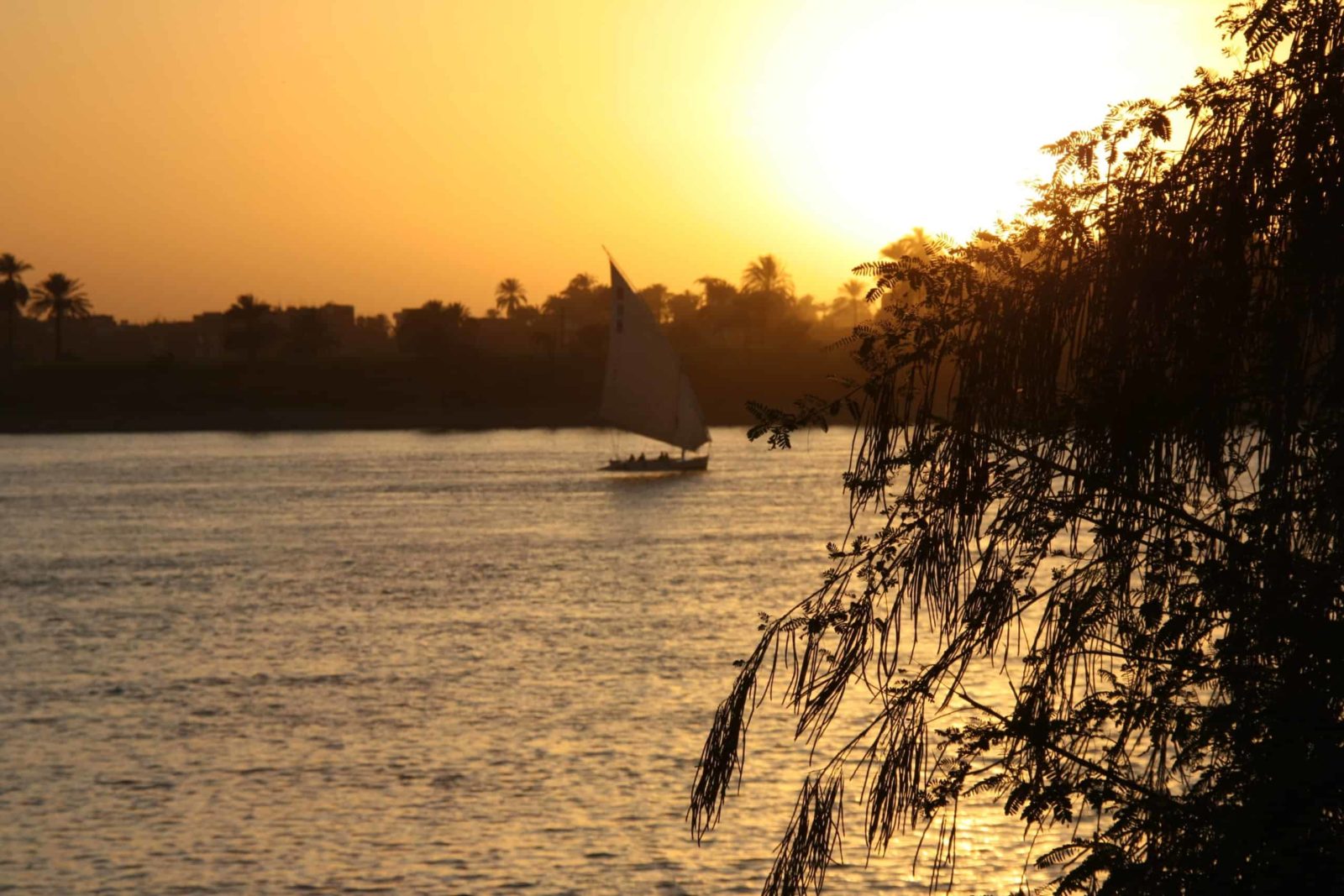 Sailboat on the Nile at sunset, trees silhouetted, pure romance in Egypt.