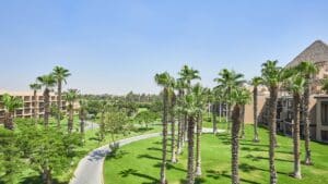 Lush green garden at Marriott Mena House, palm trees, pathways under a clear blue sky.