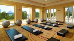 Yoga studio with mats, exercise balls, and scenic views near Sheraton Cairo Hotel & Casino.