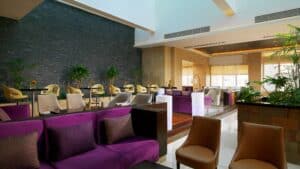 Modern lounge at Sheraton Cairo with purple sofas, chairs, tables, and greenery.