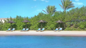 Lounge chairs and umbrellas at Hilton Hurghada beach, surrounded by lush greenery.