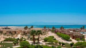 Sheraton Soma Bay boasts gardens, palm trees, and a distant blue sea under a clear sky.