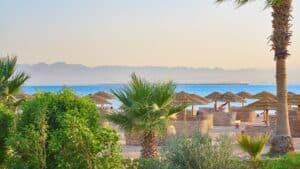 Beach scene at Sheraton Soma Bay with palm trees, straw umbrellas, and mountains in the backdrop.
