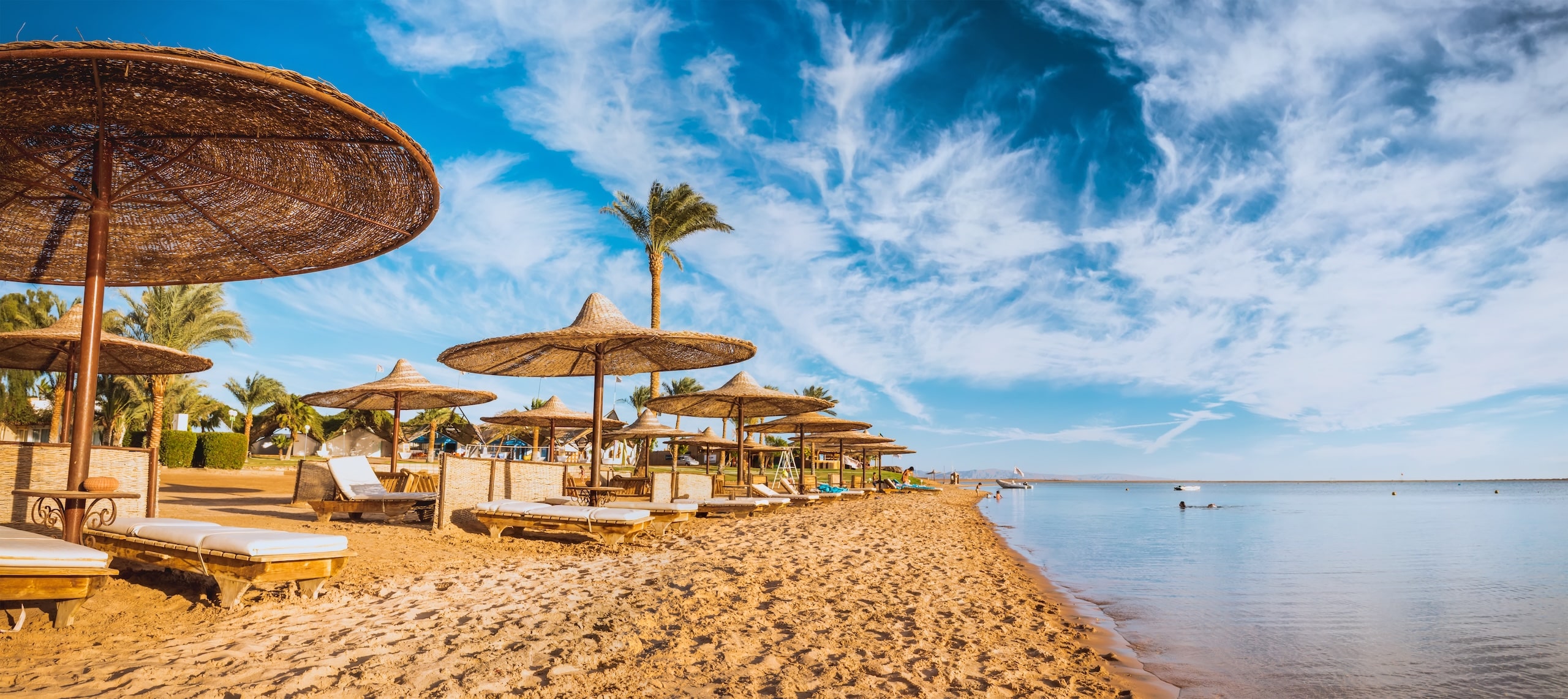 Sandy beach with palm trees, sun loungers, and straw umbrellas—a jewel of Egypt under a blue sky.