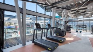 Modern gym at Hyatt Centric Cairo West with treadmills, free weights, and outdoor views.