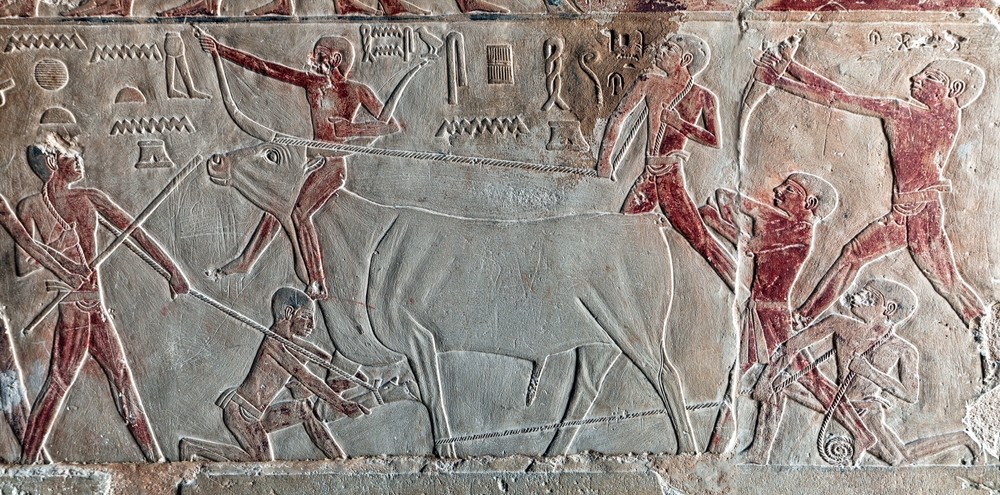 Ancient Egyptian relief showing men capturing and restraining a bull with ropes and spears.