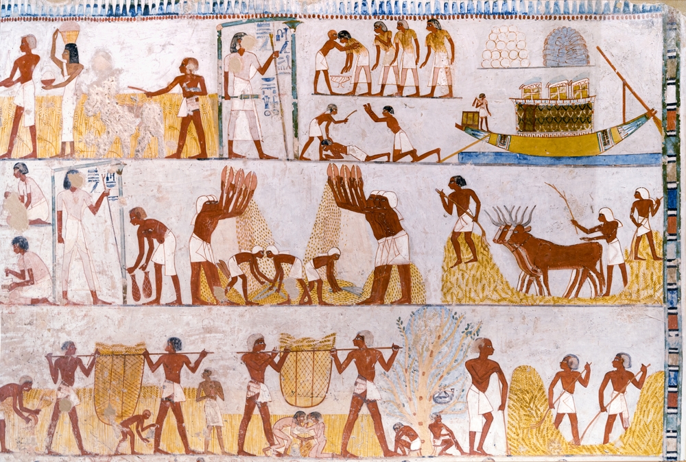 Ancient Egyptian wall painting depicts scenes of agriculture, harvesting, and daily life activities.